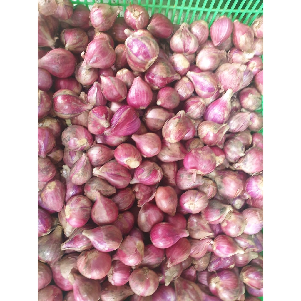

Bawang Merah 250Gr