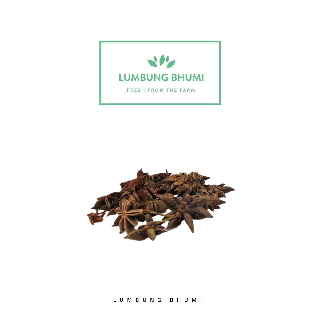 

Lumbung Bhumi - Pekak Bunga Lawang 10 Gr ( Bumbu Dapur )