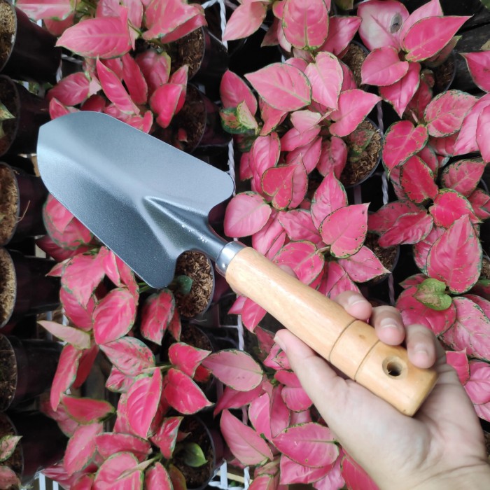 Sekop besar/cetok / sendok tanah / alat tanam