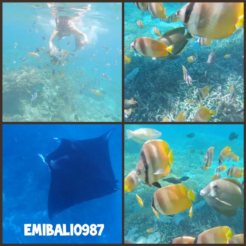 Voucher Tiket 4 Spot Snorkeling Nusa Penida Bali