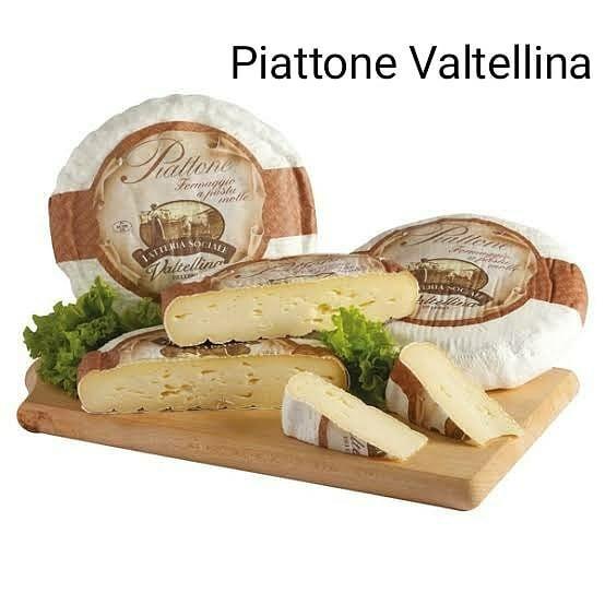 

Big Sale Terlaris Cheese | Piattone Cheese 1/4 Wheel / Italian Cheese