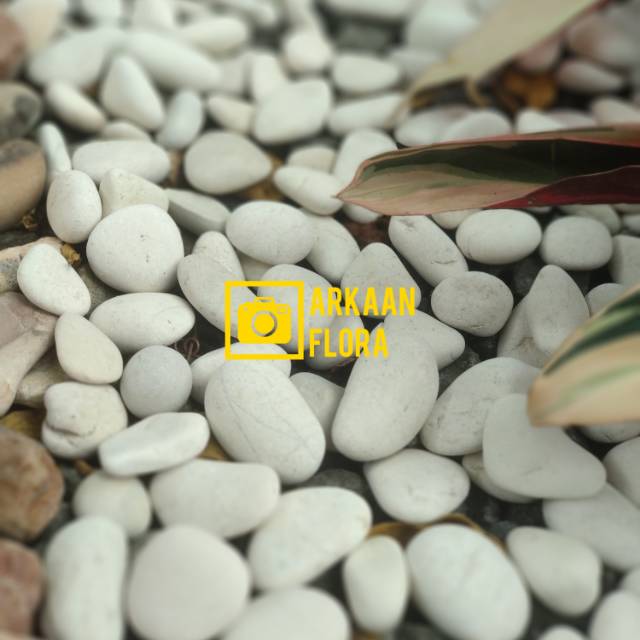 Hiasan taman batu putih