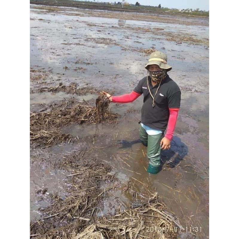 Sepatu Boot Boots But Karet Pria Wanita Dewasa Sawah Petani Nelayan Rawa Ladang Kebun Pasar Cuci Mobil Lumpur Anti Air Banjir Keong Lentur Bukan AP Panjang 80cm Anti Slip Sepaha APD