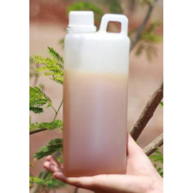 

Madu randu asli - madu kapuk - madu untuk meningkatkan daya tahan tubuh