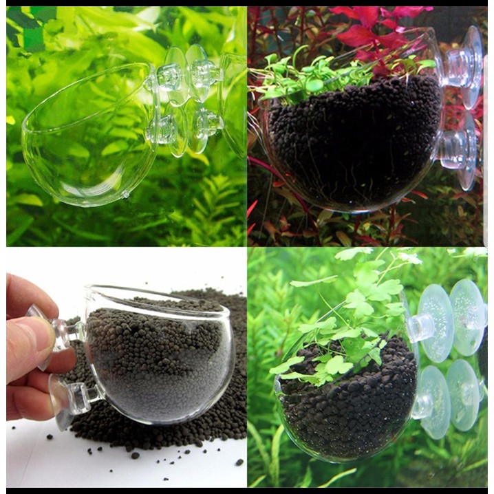 DKL654 Glass pot aquascape diameter 6cm