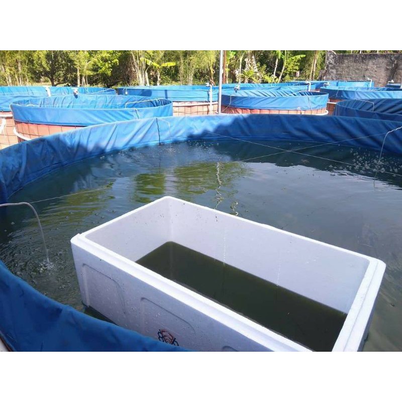 kolam terpal  bulat / bundar ukuran D 3 x T 1.2 / diameter 3 tinggi 1.2