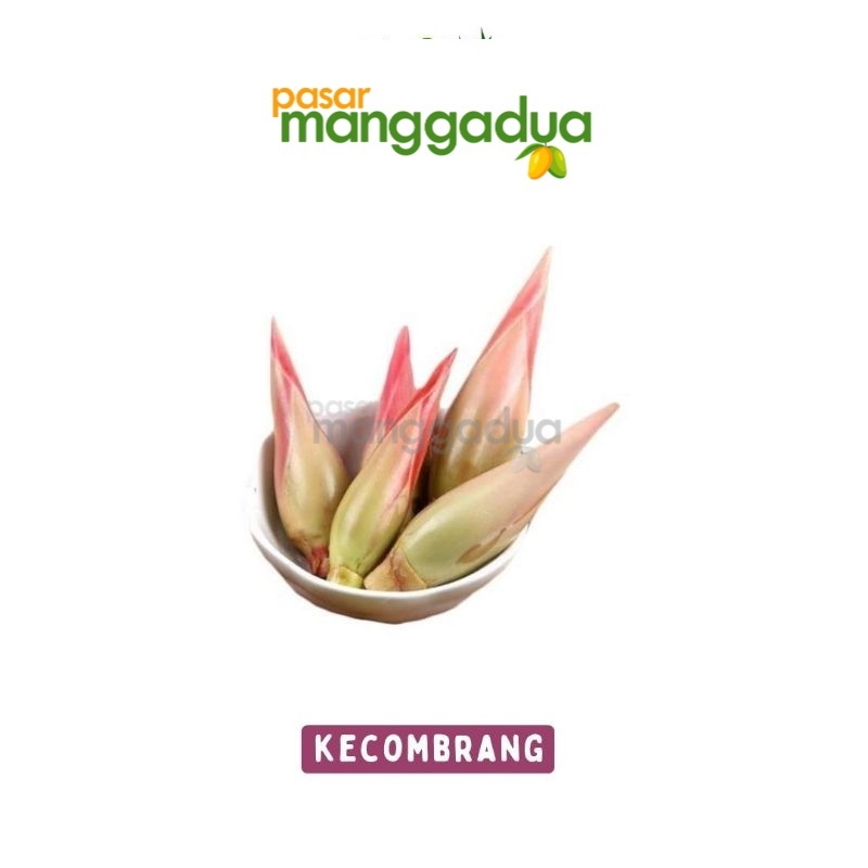 

Tunas Kecombrang Per Pcs / Produk Musiman