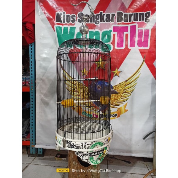 Sangkar Besi Lovebird Gankster