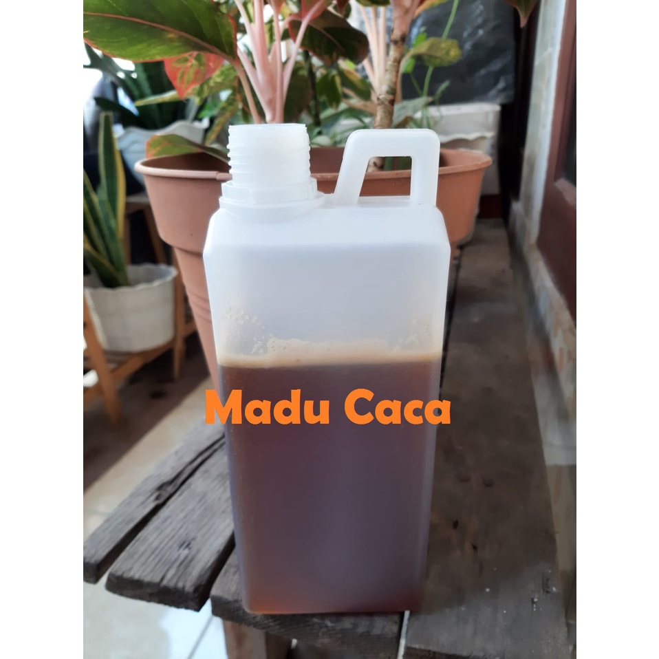 

[madu asli] madu hutan sialang jambi