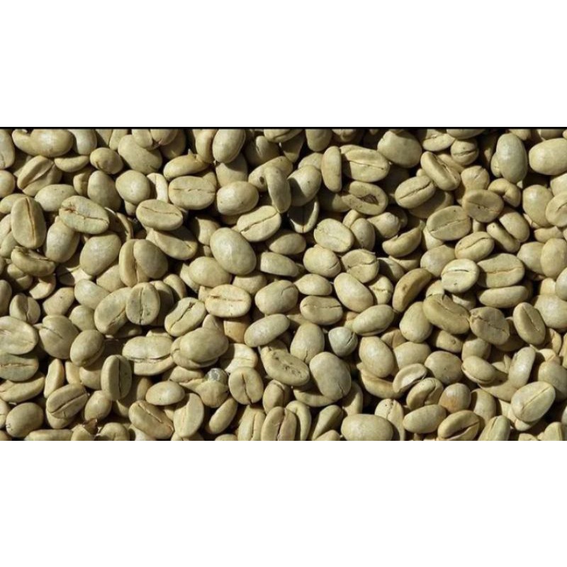 

BIJI KOPI ROBUSTA
