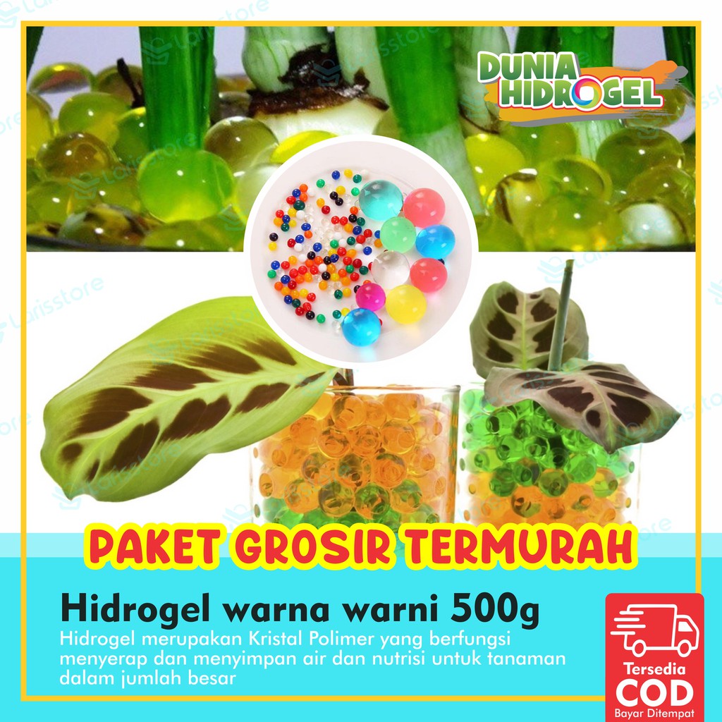 Media Tanam Paket Usaha Hidrogel Grosir Termurah untuk Tanaman Hias Paket 500g