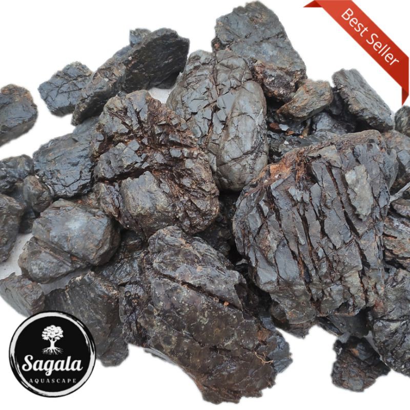 Batu Turly truly aquascape aquarium