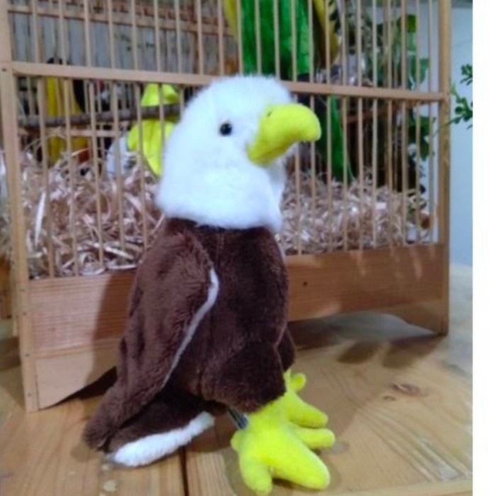 Diskon Spesial Boneka Burung Elang Termurah