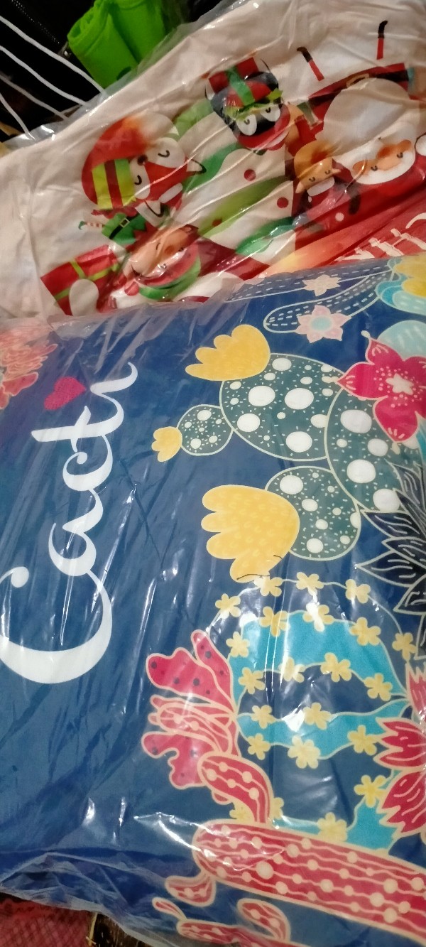 Bantal Sofa Cactus Plant / Tanaman Kaktus 40x40 Cm - Pusat Kado Murah