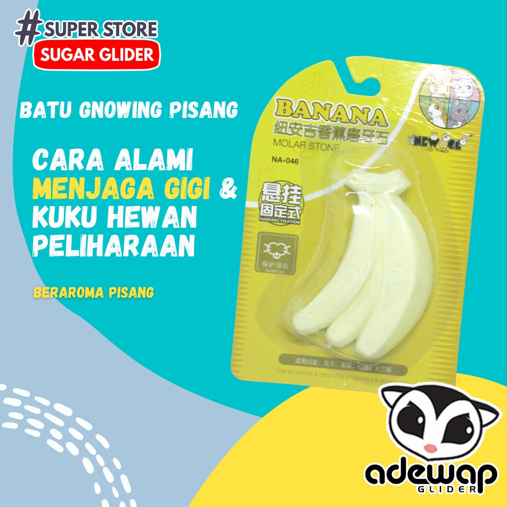 ADEWAP GLIDER Gnawing Stone Gigitan Buah Hewan Peliharaan