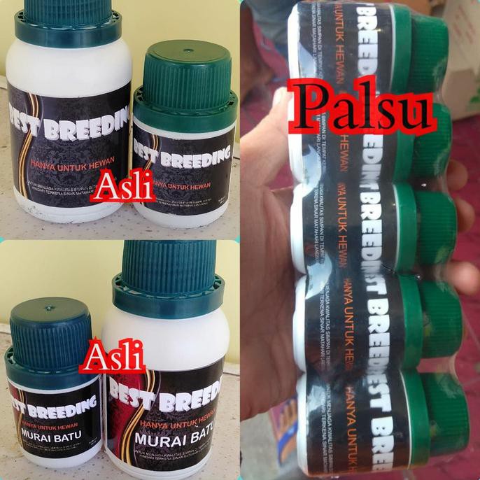 Best Breeding 80 ml