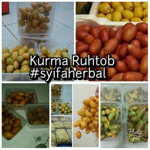 

Kurma Ruhtob