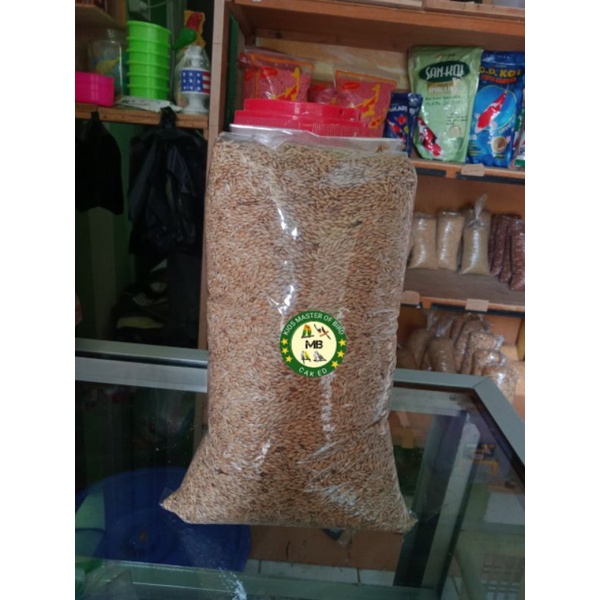 PAKAN KENARI CURAH CANARY SEED PAKAN BURUNG KENARI KILOAN BERKUALITAS