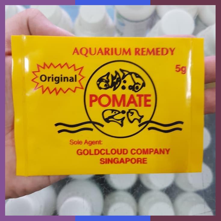 Obat Ikan Pomate Singapore