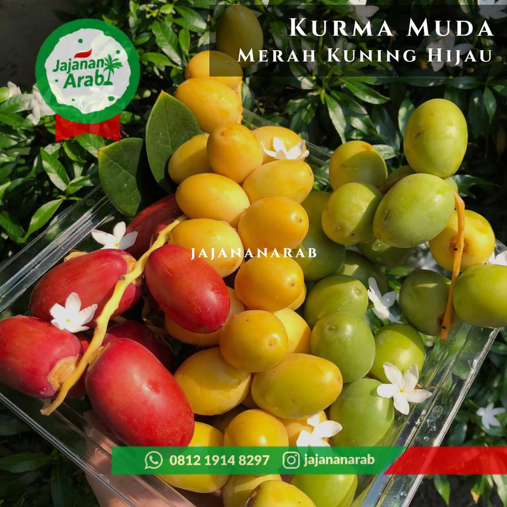 

Kurma Muda Kurma Ruthob Kurma Ruthab Kuning 500gr Termurah