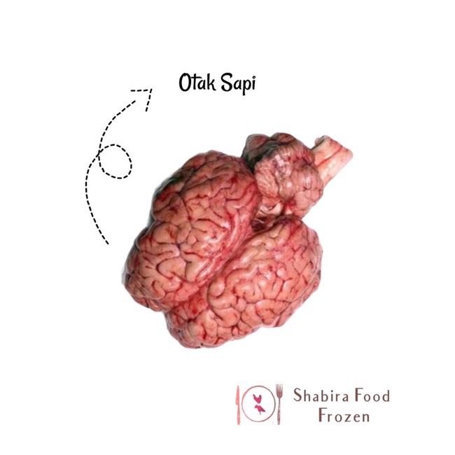 

Otak Sapi @ 1 Pcs
