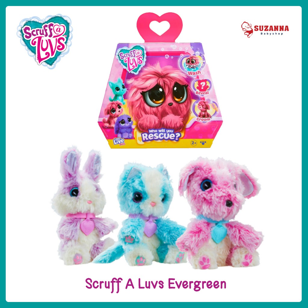 Scruff A Luvs Evergreen