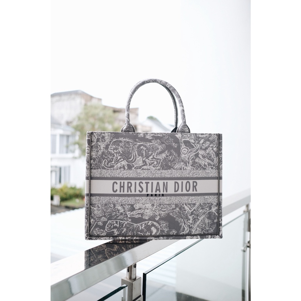 Dior Book Small Reverse Tote Bag