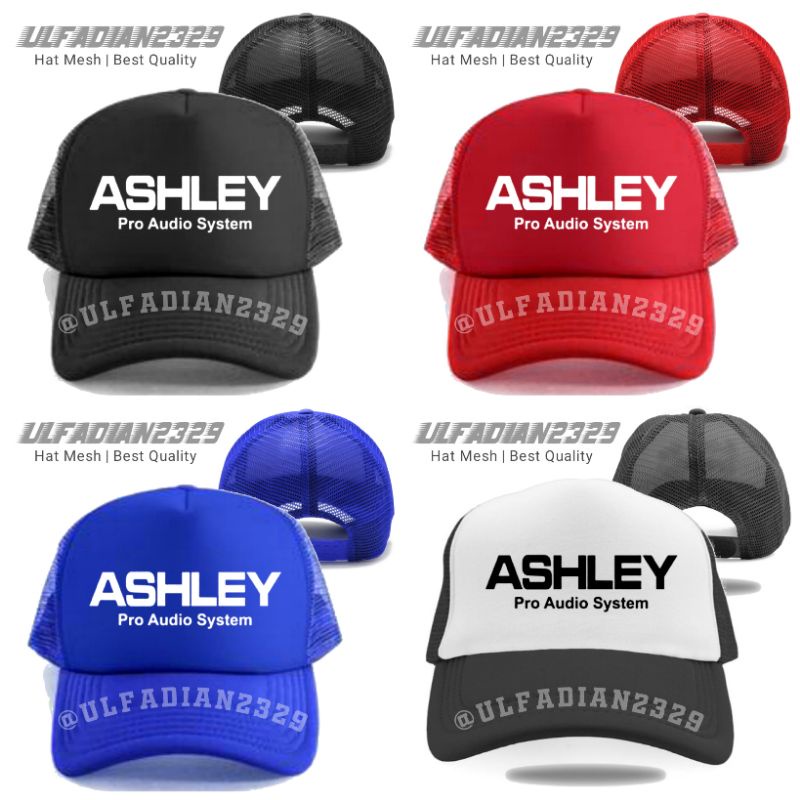 Topi Ashley Pro Audio System Trucker - Topi Sound System Ashley