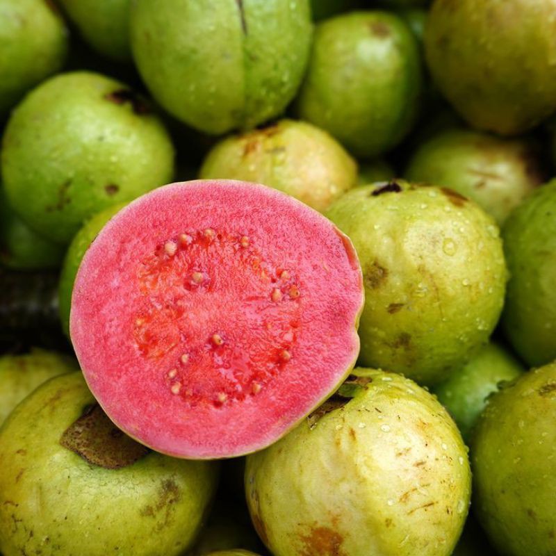 

JAMBU BIJI MERAH - GUAVA 500 GR