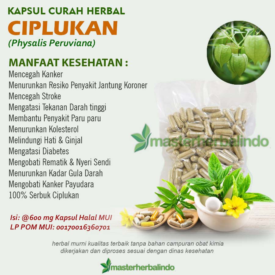 

Kapsul Curah Herbal CIPLUKAN 200x600 mg Hypertensi Rematik Prostat Flu
