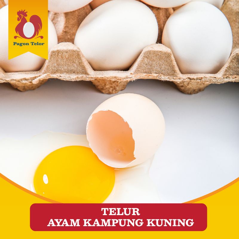 

TELUR AYAM KAMPUNG KUNING BUTIRAN PERBUTIR