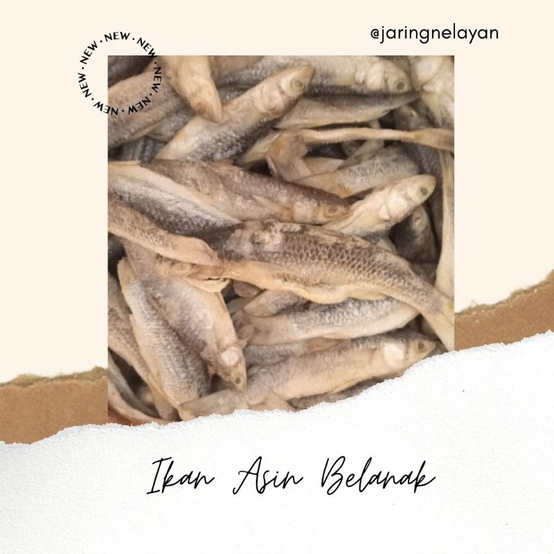 

IKAN ASIN BELANAK 250 gram