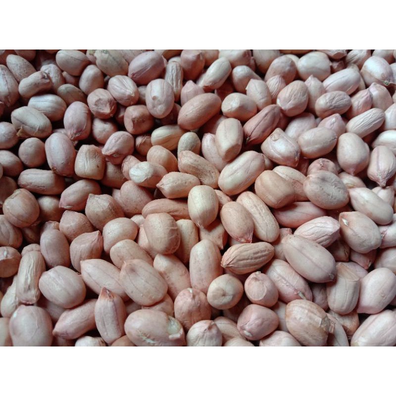 

Kacang tanah 3kg