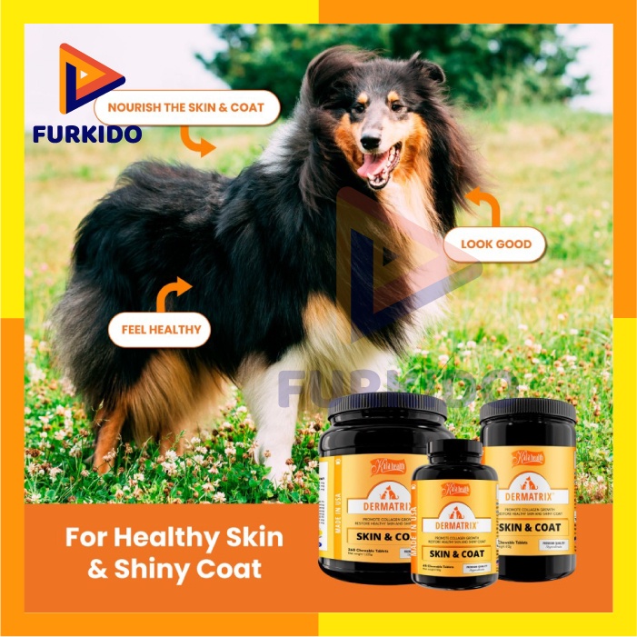 Kala Health Dermatrix Skin &amp; Coat 45 Tabs