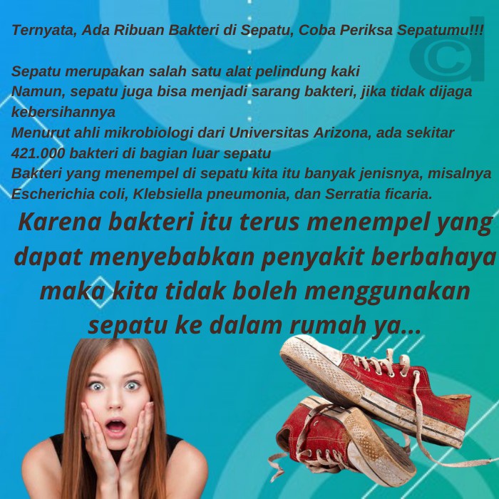 Cuci Sepatu dan Pembersih Sneaker Efektif