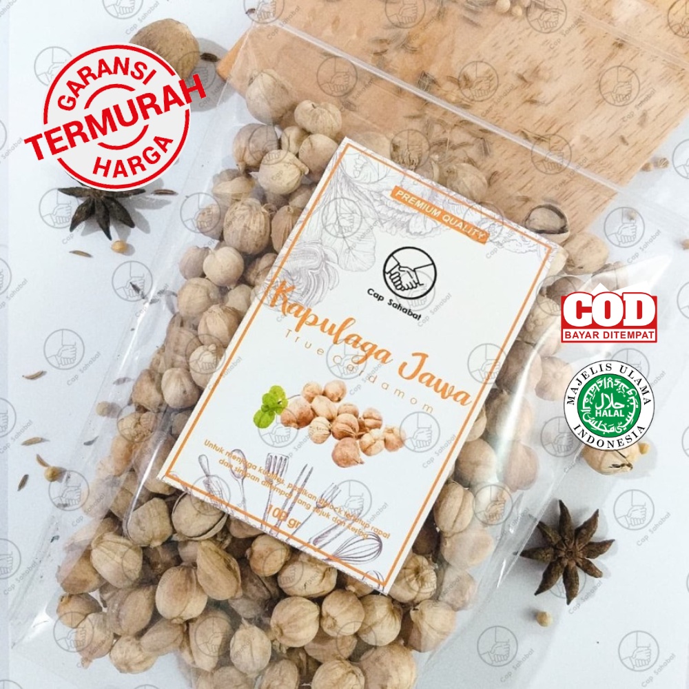 Jual Kapulaga Asli 50gr Biji Kapulaga Murni 100 Kapulaga Jawa Jsr Rempah Kualitas Premium 8843