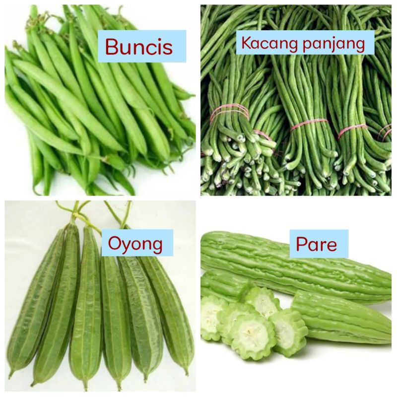 

Buncis / kacang panjang / oyong / pare sayuran segar