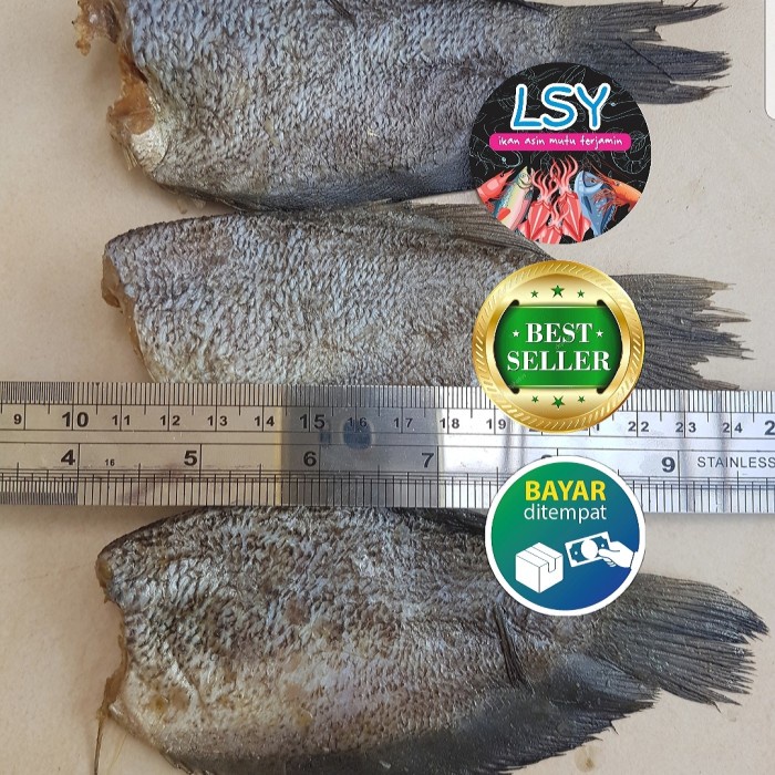 

10cscss Ikan Asin Sepat Siam/Gurami Import Kualitas No 1 Dscscv