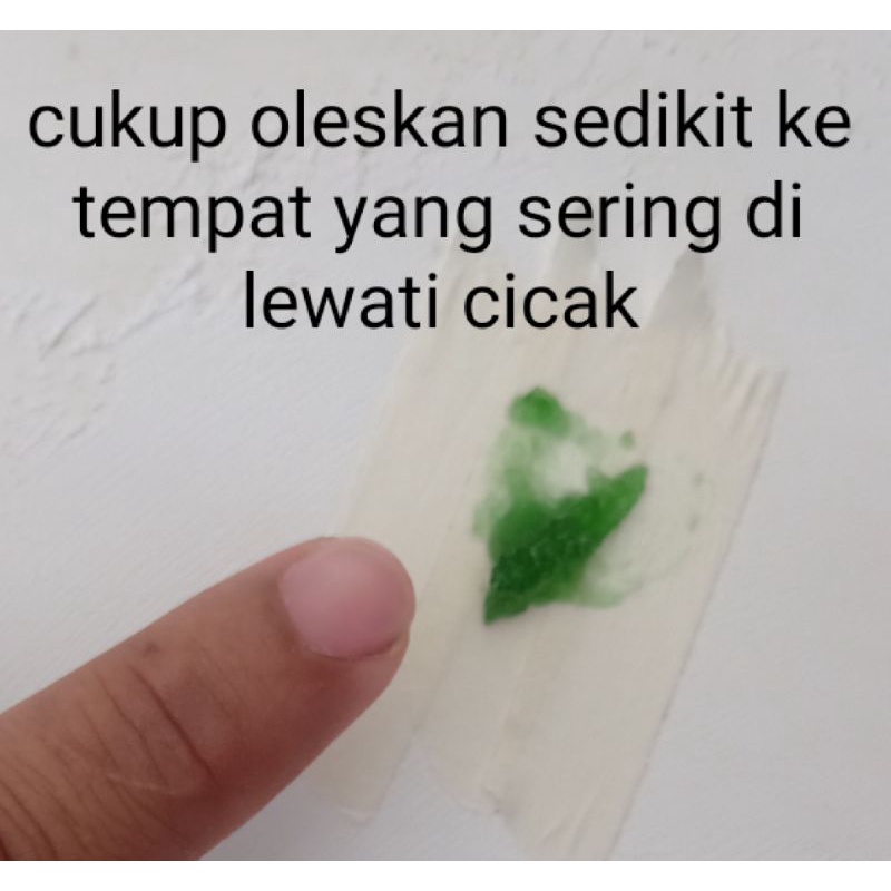 RACUN CICAK CECAK AMPUH MATI DI TEMPAT