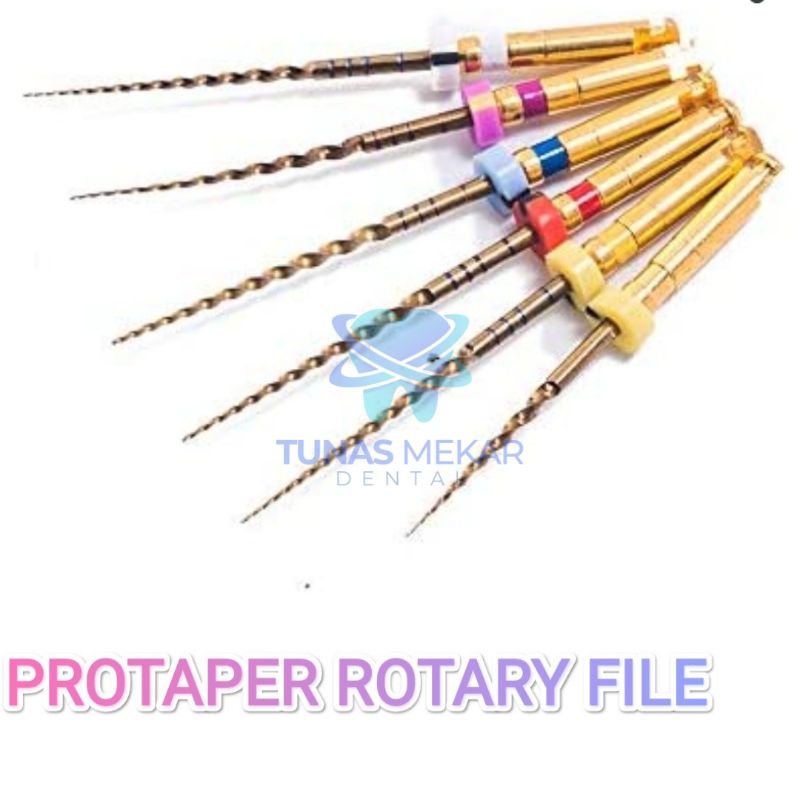 kfile k file protaper rotary  endomotor niti SX - F3 25mm murah