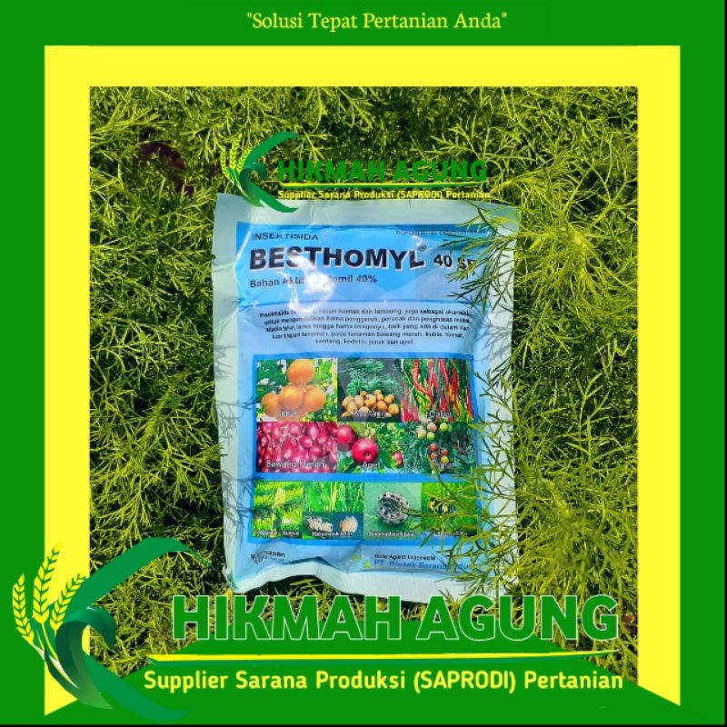 

BESTHOMYL 40SP 100gr insektisida
