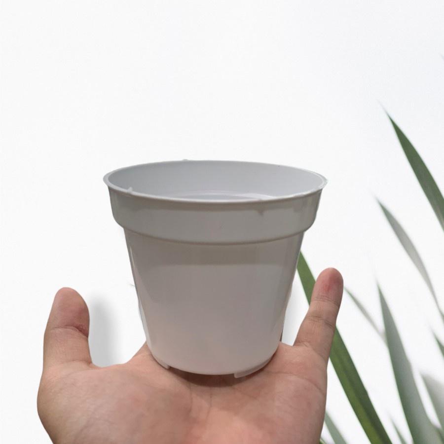 Pot putih 7 cm pot mini pot kaktus