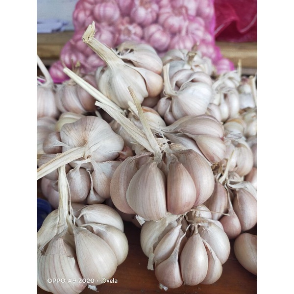 

Bawang putih