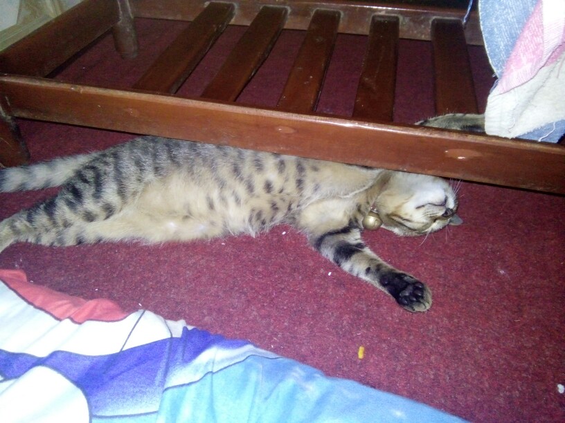 Promo Kemeja Batik Pria Lengan Panjang Masa Kini M L Xl Xxl