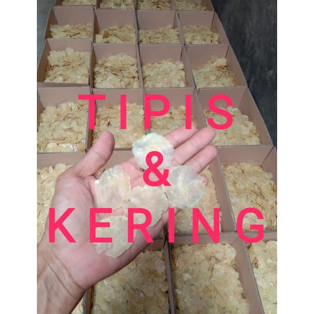 EMPING MELINJO MENTAH 5 KG UKURAN KECIL (BIJI 1) TIPIS & KERING SUPER PREMIUM ASLI MANCAK CILEGON  B