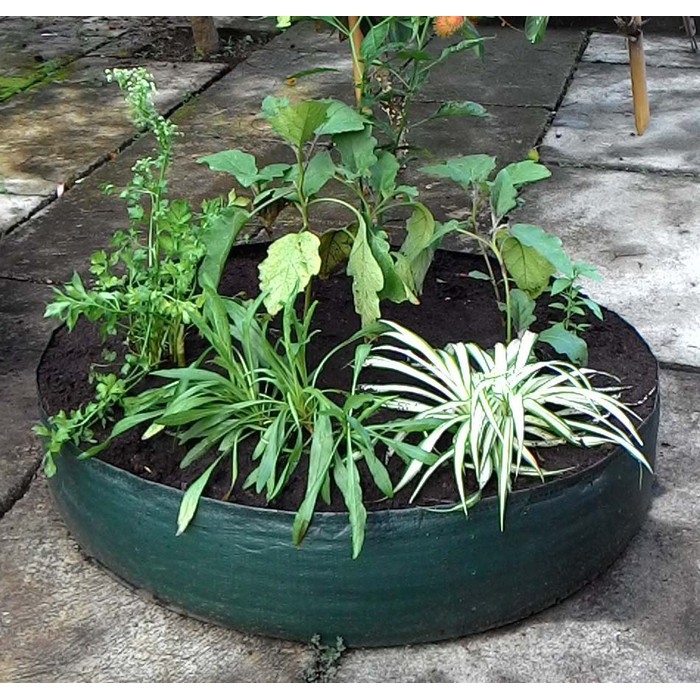 RAISED PLANTER BAG DIA 100 X 25 CM POT POLYBAG TANAMAN BUNGA SAYURAN