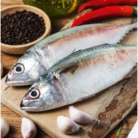 

Ikan Kembung Fresh Ikan Laut Segar Pasar Murah Jogja