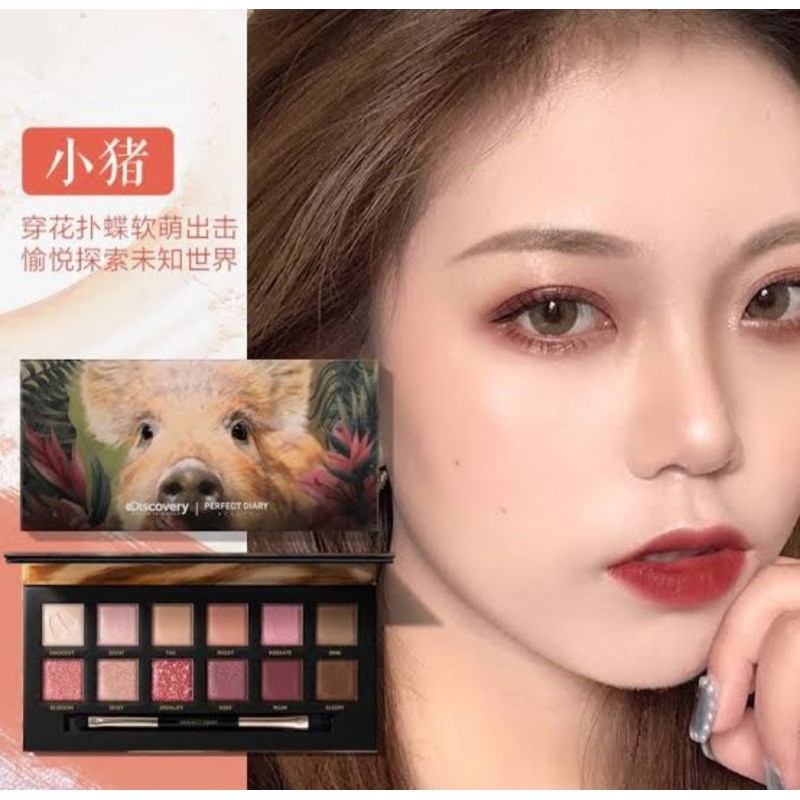 Perfect Diary Eyeshadow