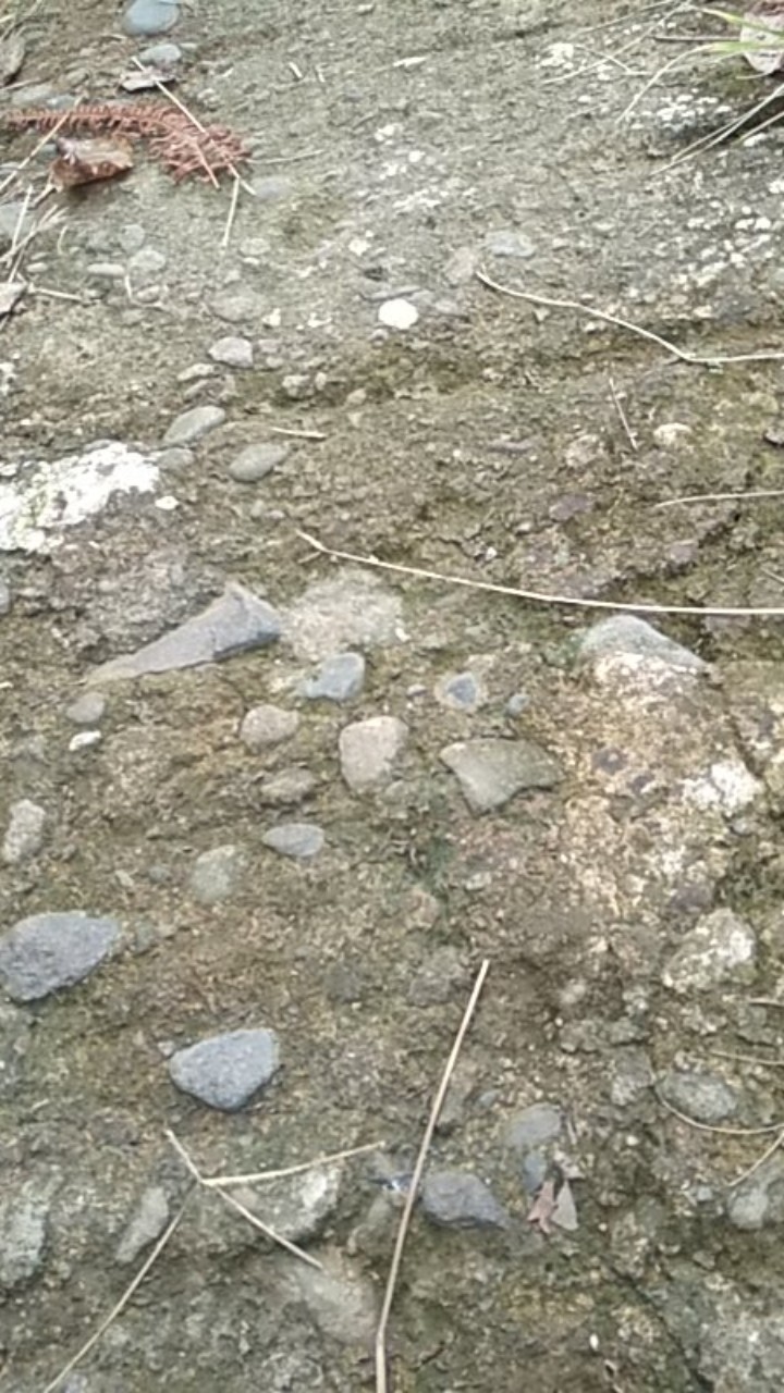 Bswart Kemeja Batik Ansor Terlaris Wisnu M L Xl Xxl