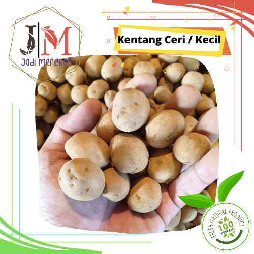 

[JM SoFresh] - Kentang Baby / Kentang cery